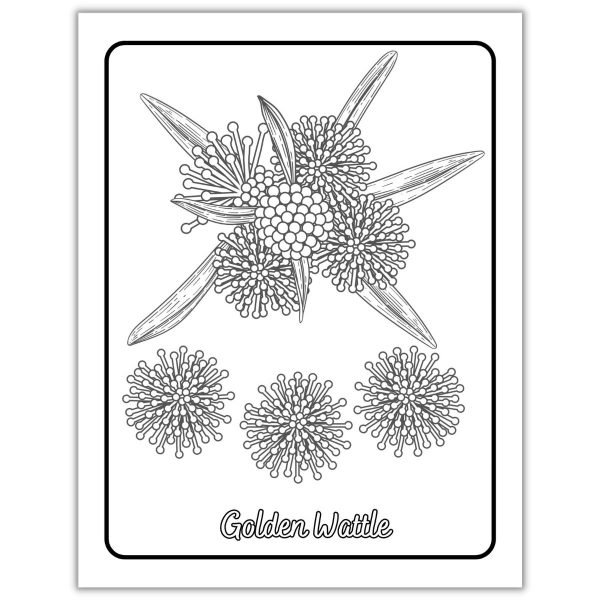 Flowers Around The World Coloring Book Page1